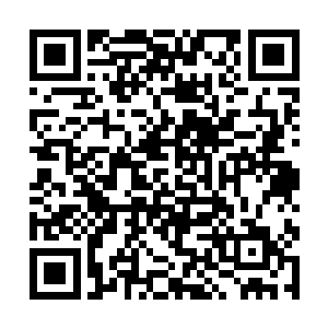 希望能够去探索那些麦哲伦还没有能够探索到的世界二维码生成