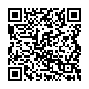 希望能够将秦中林的表情全都捕获在自己的心中二维码生成