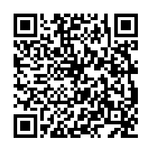 希望自己的同伴不要被城主大人给玩残废了才好二维码生成