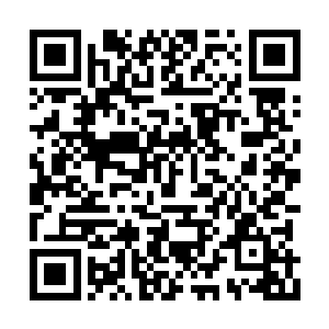 希望自己的部落中可以诞生这种永恒不倒的战士二维码生成