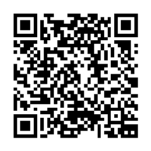 希望钟家三夫人和闻春意还能有机会做好一对情意浓浓的婆媳二维码生成