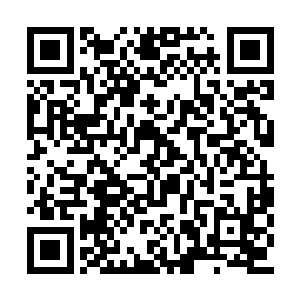 希玲已经拉拢了一位一级巅峰巫师进入自然之盟二维码生成