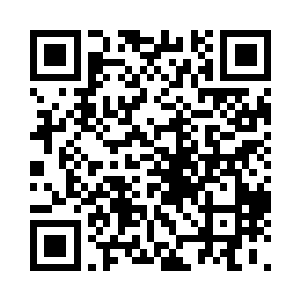 希玲所说的自然是那种大型家族的主母二维码生成