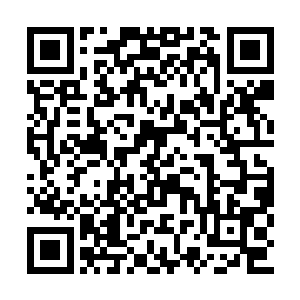 帕翠西娅的声音让他不得不将注意力转移了回来二维码生成