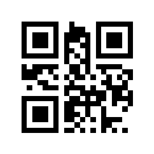 帕鲁二维码生成