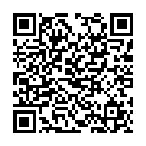 帝君能得到的补充怎么都不能和遗忘之地相提并论二维码生成