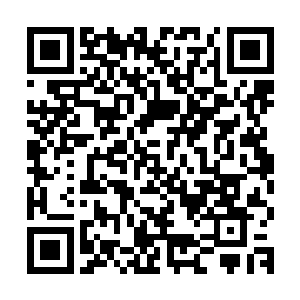 帝国常备第一军团和常备第二军团开始向我们安迪城发起进攻了二维码生成