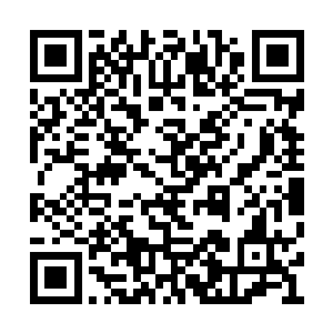 帝国这边的强者在哈布斯刚刚释放出威压的时候二维码生成