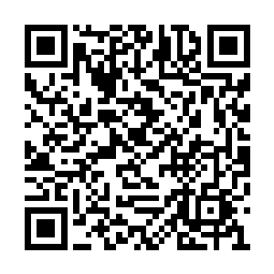 帝天只是一个实力与天赋都不错的普通大帝而已二维码生成