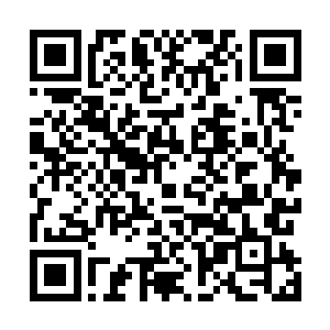 帝寒抚着下巴看着讲的认真的母亲――她还是忍不住了吗二维码生成