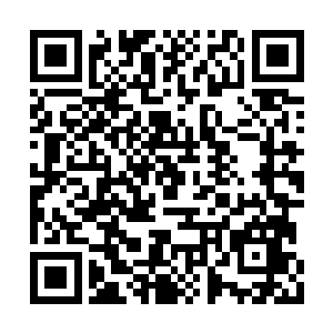 帝沧澜见绝倾殇就那么趴在亭子里的石桌上睡着二维码生成