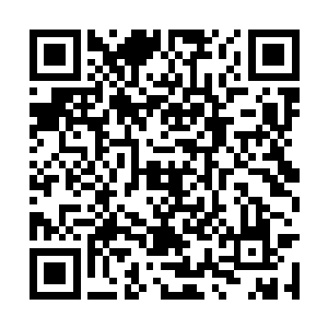 帝沧澜轻蔑的眸光瞥了一眼脸色寸寸惨白的水文昭二维码生成