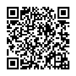 帝王厅是光头强接手这家酒店专门找人规划设计出来的二维码生成