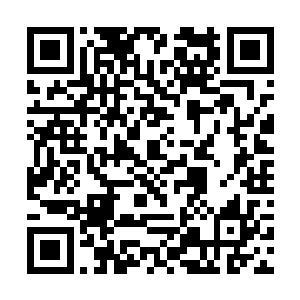 带上自家的队伍和小穹一起踏上了通往第八层的阶梯二维码生成