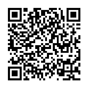 带他们找到了丰富多彩的大世界――但我又渐渐不满足起来二维码生成