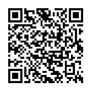 带回来的吃的被小胖风卷残云全部吞到了肚子里二维码生成