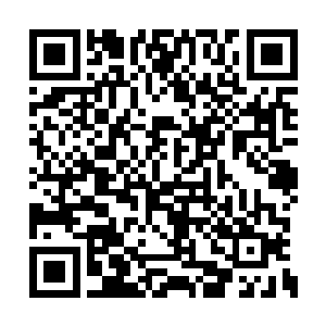 带头的正是刚才被柳逸尘揍得鼻青脸肿的江明之二维码生成