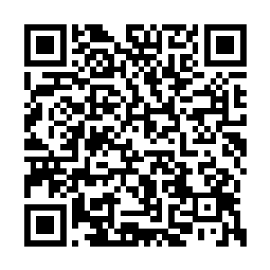 带头的那些人一个个全都是不可思议的看着夏天二维码生成