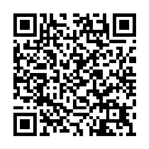 带头的黑衣男子只感觉自己的下体仿佛鸡蛋一般二维码生成