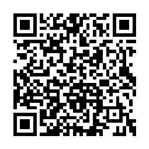 带我们去见见你们的那个……他叫什么中尉来着二维码生成