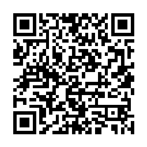 带有一些奇异魔纹的珠子……这就是阎罗府强者元神献祭二维码生成