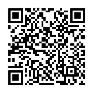 带楚暮等一群剑王进入中转殿的剑卫冷冰冰的说道二维码生成