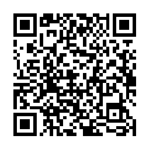 带着一副刀枪不入的神态伸手抓向一柱大腿粗细的粗竹二维码生成
