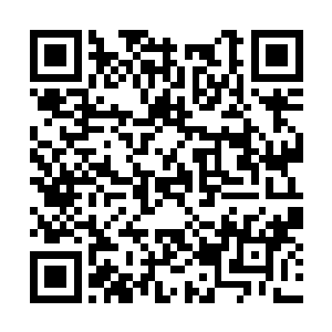 带着一种复杂的神色的望着萧易下楼的瘦削的背影二维码生成