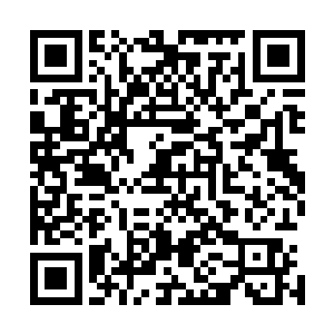 带着一股令人胆战心惊的恐怖之力与青山的拳头撞击在一起二维码生成