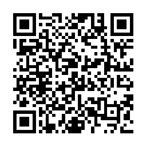 带着一股凛冽的破空声以极快的速度向着扑来的黑影砍去二维码生成