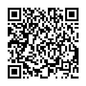 带着一股无比强大的能量波动闪电般向着矮小老者射去二维码生成