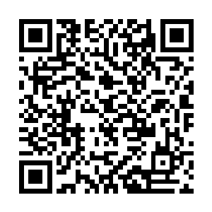 带着一股苍茫与古老的气息打像迎面冲来的两名主神二维码生成