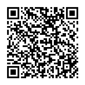 带着两个巨神族人和双头裂体穿过后花园便看到圆门处守着两个侍卫二维码生成