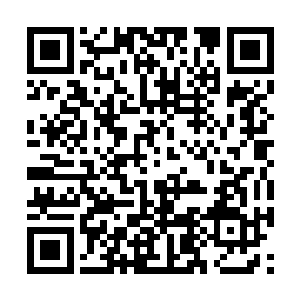 带着他们麾下武师以上的武者前来黑冰台总部报到二维码生成