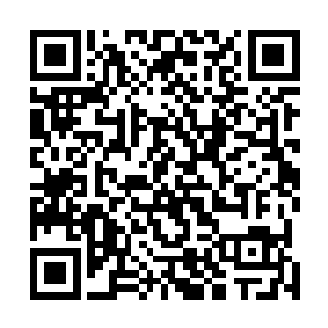 带着光明圣师青年就向着烈焰佣兵团几人养伤的住处行去二维码生成