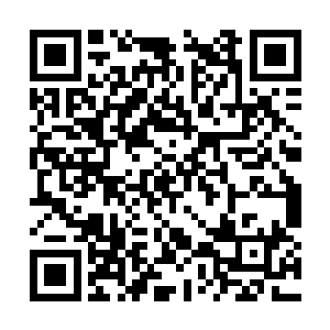 带着凛冽的破空声也从肯德团长的胸前急速的抓过二维码生成