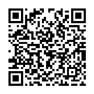 带着凝儿他们抄小路去可以看到整个清水湖的地方二维码生成