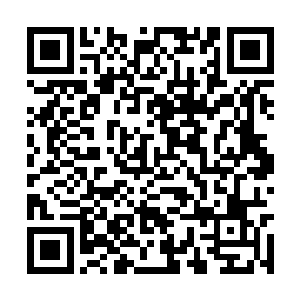 带着几名警员还有反渎职侵权局的专案组成员离开二维码生成