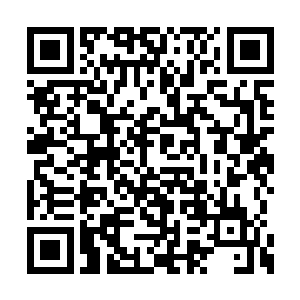 带着刘荷花和两个儿子出来重新打拼也饿不死啊二维码生成