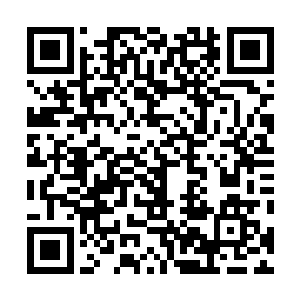 带着剩下的几名战友匍匐着向侦察小组的兄弟们奋力爬去二维码生成