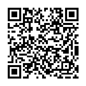 带着姚若溪几人不大会就找遍了昨晚下的套子挖的陷阱二维码生成