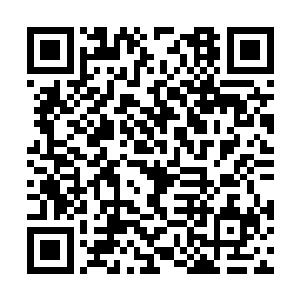 带着惊讶和好奇之色望着悬浮在高空中的巨大山峰二维码生成