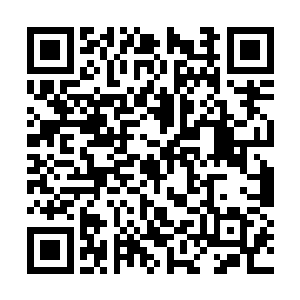 带着梅根福克斯和拉蒂西娅看了看安妮小姐的编舞二维码生成