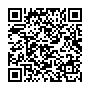 带着毁灭一切的气息向着人欲道道主所在的小世界压去二维码生成