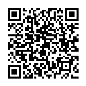 带着狂暴力量的火焰与雷电与蜘蛛柔软的腹部来了个剧烈的对冲二维码生成