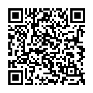带着疼痛的大鱼立刻吸取了教训躲进了鱼群之中二维码生成