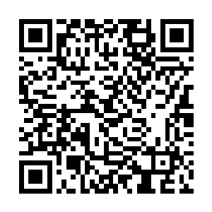 带着皮项圈的何晴被丁长生牵着在这栋楼里上上下下二维码生成