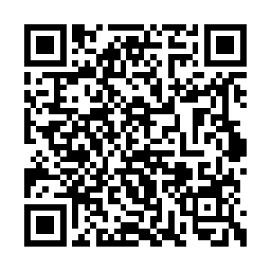 带着赤乌三人向张大叔他们所在的地方缓缓移动二维码生成