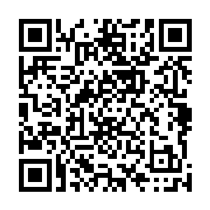 带着赤红色条纹的庞大科莫音巨蛇虚影从背后浮现了出来二维码生成