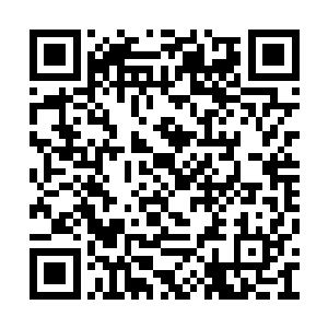 带着身后一脸无奈的天诺和龙魅两个人去报名了二维码生成